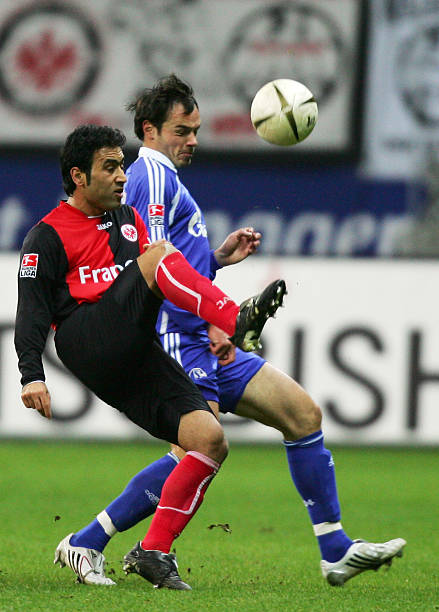 顽强的抵抗 顽强的抵抗