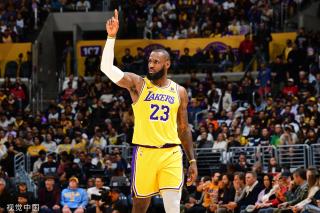 的适应能力 的适应能力